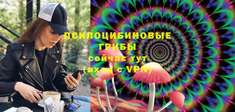 ссылка на мегу рабочий сайт  Бородино  Псилоцибиновые грибы MAGIC MUSHROOMS 